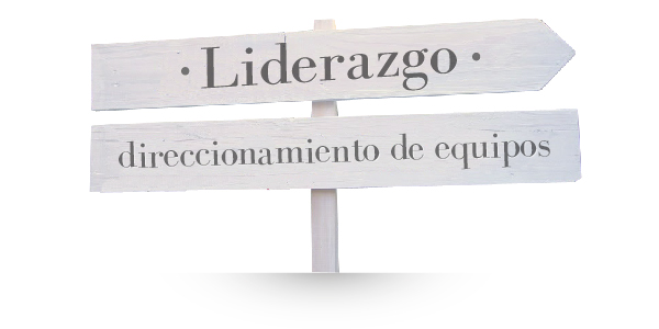 Mar Duran coaching empresa lead and grow desarrollo profesional madrid